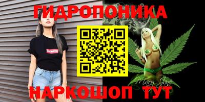 СК Лесосибирск