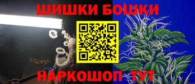 СК Лесосибирск