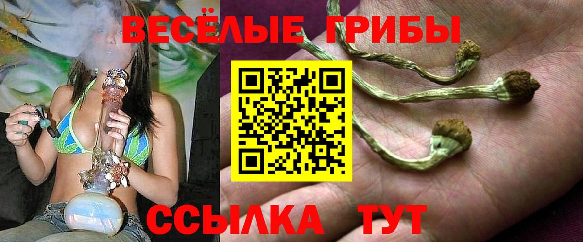 Галлюциногенные грибы мицелий  Вход с VPN  Будённовск  Псилоцибиновые грибы Magic Shrooms 