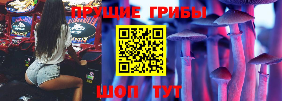 Псилоцибиновые грибы Cubensis Будённовск